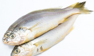 塔米鱼怎么做好吃（塔米鱼怎么做好吃呢）