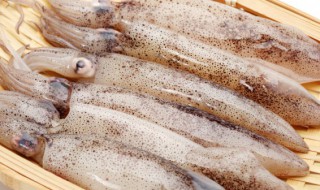 鲜鱿鱼怎么做好吃（鲜鱿鱼怎么做好吃的做法大全）