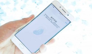 vivo手机文本编辑器在哪 vivo文档编辑器