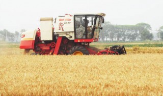 收割机报废年限规定(收割机一般能用多长时间报废)