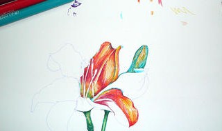 水彩笔涂错了怎么擦掉（水彩笔涂错了怎么擦掉呢）