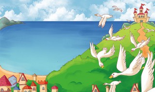 野天鹅吃什么食物（野天鹅吃什么食物长得快）