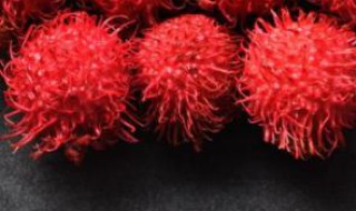 红毛丹做什么菜好吃（红毛丹做什么菜好吃又简单）