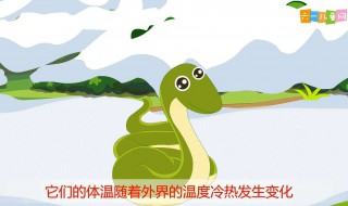 蛇吃什么过冬的（蛇过冬吃东西吗）