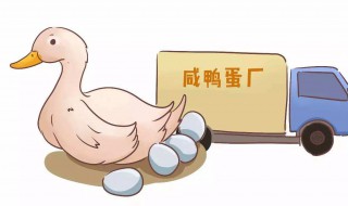 如何分辨鸭子是否生蛋（生鸭蛋怎么辨别）