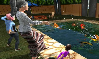 奶奶模拟器在哪里下载安装（奶奶模拟器从哪里下载）