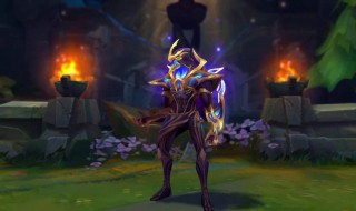 伽罗星元皮肤时空护卫有特效吗（伽罗各个星元皮肤特效）