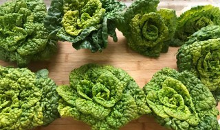 兔子可以吃黄心菜吗? 兔子可以吃黄心菜吗为什么