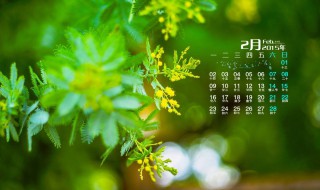 2月28号几年一次 2月28号几年一次闰年