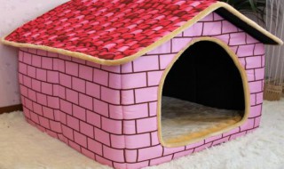 怎么用砖建狗窝（怎么用砖建狗窝图解）