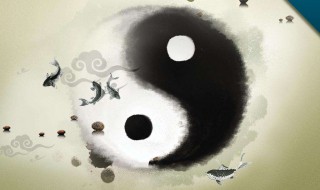 24式太极拳对身型的要求是?(24式太极拳对身型的要求是什么意思)