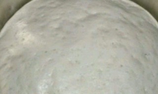 发面不发如何处理 为什么面不发怎么处理