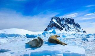 南极几月最冷?（南极几月最冷天气）