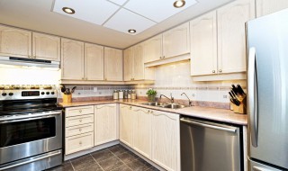 集成装饰板是什么（集成装饰板是什么材料）