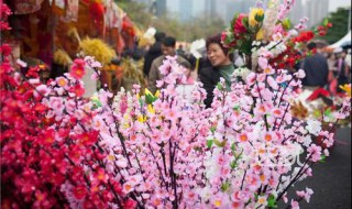 大良花市几时开（大良花市几时开市）