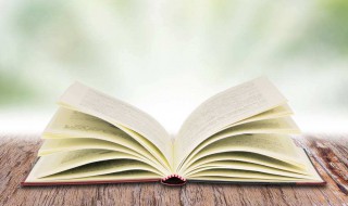 93是质数吗? 1993是质数吗