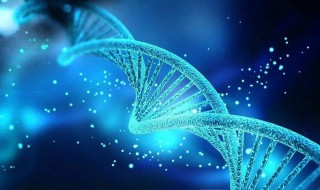 DNA中每个脱氧核苷酸由什么组成 dna由脱氧核糖核酸组成