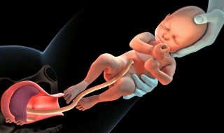 剖腹产假期多少天（剖腹产假期多少天合适）