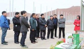 县发改局权利大吗(县发改委的权力有多大)