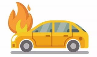 可燃物发生自燃的主要方式有哪些（可燃物发生自燃的主要方式有什么）