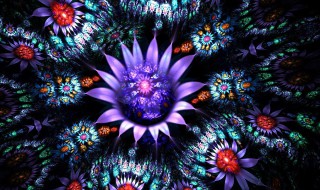 分形空间镜子那关怎么过(分形空间修镜子)