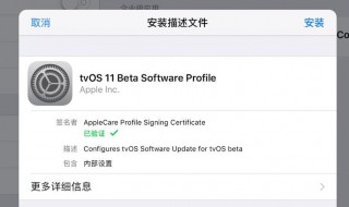 ipad升级系统点击下载并安装没反应 ipad软件更新下载并安装没反应