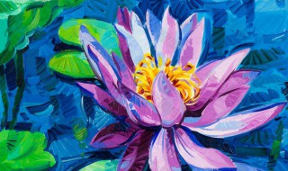 荷花花色多吗 荷花花色多吗图片