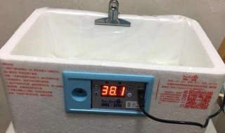 水床孵化湿度怎么控制 水床孵化器怎么掌握湿度