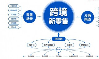 企业如何培养跨境电商人才（如何将自己打造成跨境电商人才）