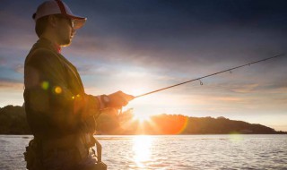 面粉加香油能做鱼饵吗 用香油和面能做鱼饵料吗