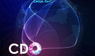 在经济中CDO是什么意思（经济学cd是什么意思）