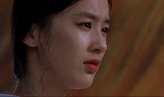 电影功夫为什么叫Hustle 功夫电影里的功夫名称