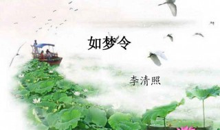 如梦令运用了哪些手法（如梦令的描写手法）