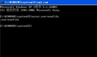 xp不能运行exe文件（电脑不能运行exe文件）