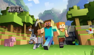 如何登录我的世界电脑版（如何登录我的世界电脑版官方网站）