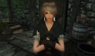 上古卷轴5随从箭会用完吗 上古卷轴5随从消耗箭