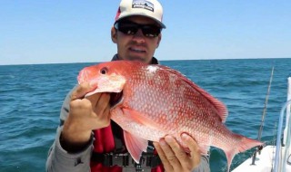 东南风钓鱼好吗 东东南风钓鱼好吗