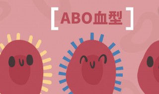 o型血和b型血生的孩子是什么血型 o型血和b型血生的孩子是什么血型概率h