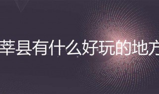 莘县有什么好玩的地方(莘县哪里有好玩儿的地方)