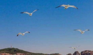 威海有什么好玩的地方（威海有什么好玩的地方可以去）