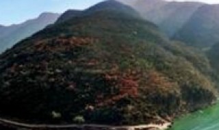 秋天适合去哪里旅游 长沙秋天适合去哪里旅游