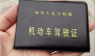 c1驾照开小货车需要办理哪些证件（c1驾照开小货车需要什么证件）