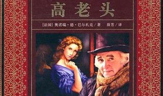 高老头故事梗概 高老头故事梗概200字