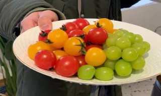 如何用水果皮做洗洁精(怎样用水果皮做洗洁精)