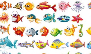 反游猫鱼吃粪便吗（鱼吃猫屎吗）