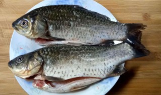 鲫鱼怎么吃有营养(鲫鱼怎么吃有营养呢)