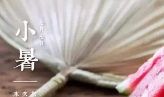 小暑吃什么（小暑吃什么菜）