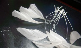 鸡毛鹅毛换糖是什么意思 以前的鸡毛鸭毛换糖是怎么回事