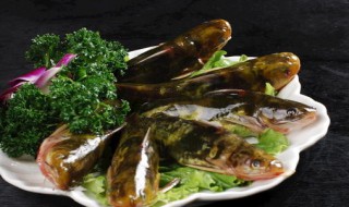 野钓如何知道里面有黄辣丁（野钓黄辣丁图片）