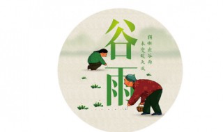 谷雨节气如何养生 谷雨节气养生吃什么